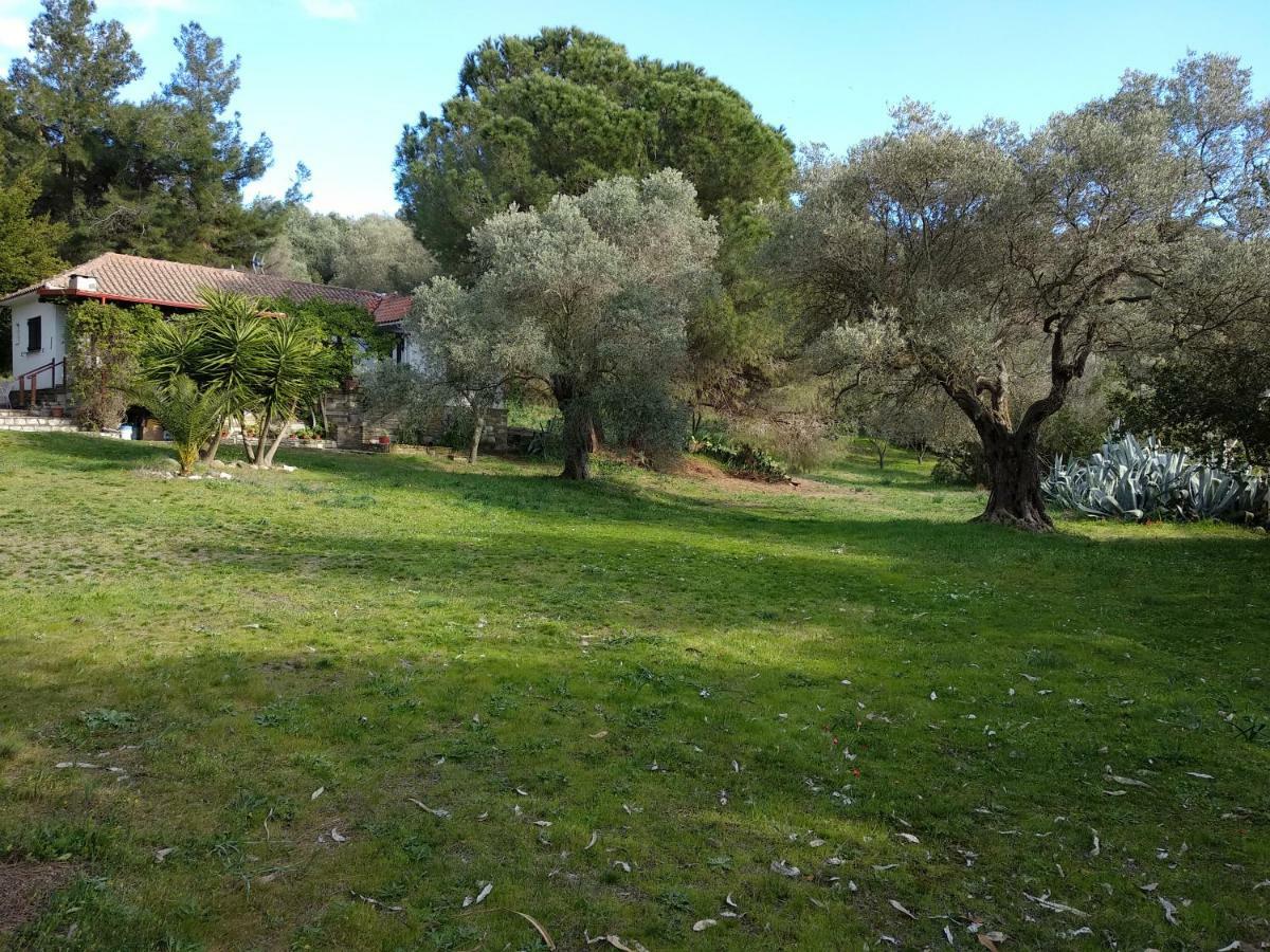 Casa Natura Ammoulianí Exterior foto